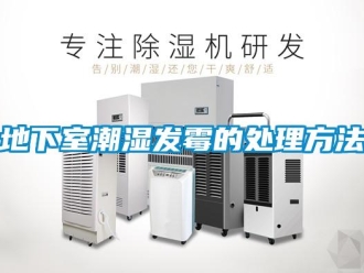 企業新聞地下室潮濕發霉的處理方法