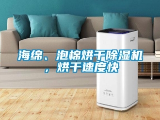 行業新聞海綿、泡棉烘干除濕機，烘干速度快
