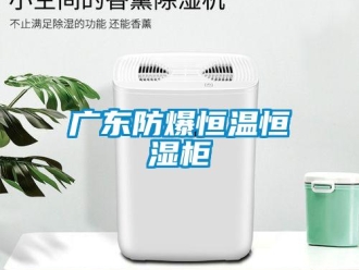 知識百科廣東防爆恒溫恒濕柜