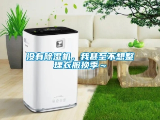 行業新聞沒有除濕機，我甚至不想整理衣服換季～