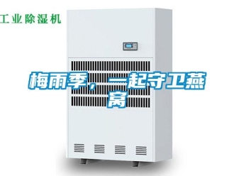 行業新聞梅雨季，一起守衛燕窩