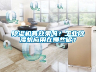常見問題除濕機有效果嗎？工業除濕機應用在哪些呢？