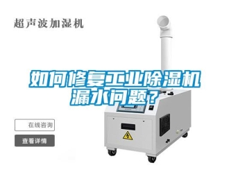 常見問題如何修復工業除濕機漏水問題？