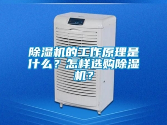 企業新聞除濕機的工作原理是什么？怎樣選購除濕機？