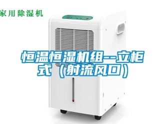 知識百科恒溫恒濕機組--立柜式（射流風口）