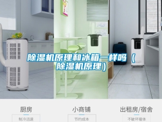 行業新聞除濕機原理和冰箱一樣嗎（除濕機原理）