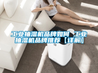 企業新聞工業抽濕機品牌如何 工業抽濕機品牌推薦【詳解】