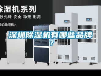 企業新聞深圳除濕機有哪些品牌？