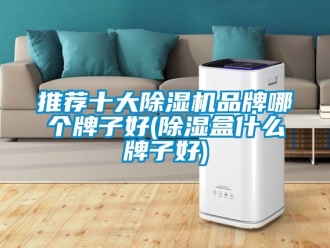 企業新聞推薦十大除濕機品牌哪個牌子好(除濕盒什么牌子好)