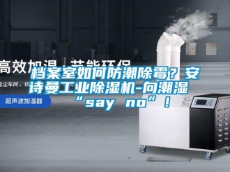 企業新聞檔案室如何防潮除霉？安詩曼工業除濕機-向潮濕“say no”！