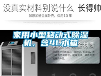 常見問題家用小型移動式除濕機，含4L水箱