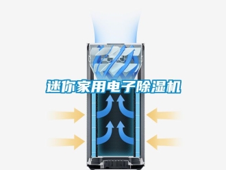 行業新聞迷你家用電子除濕機