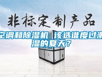 行業新聞空調和除濕機 該選誰度過潮濕的夏天？