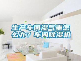 常見問題生產車間濕氣重怎么辦？車間除濕機