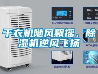 企業新聞干衣機隨風飄搖，除濕機逆風飛揚