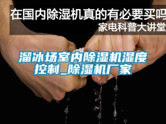 行業新聞溜冰場室內除濕機濕度控制_除濕機廠家