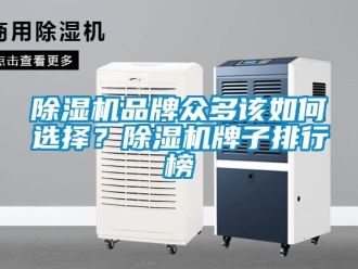企業新聞除濕機品牌眾多該如何選擇？除濕機牌子排行榜