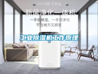常見問題工業除濕機工作原理