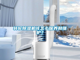 常見問題轉輪除濕機該怎么保養和維護？