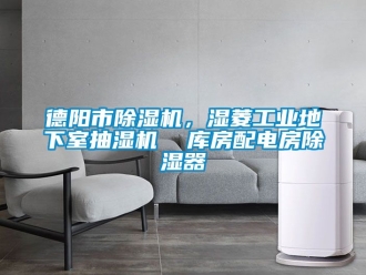常見問題德陽市除濕機，濕菱工業地下室抽濕機  庫房配電房除濕器