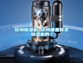 行業新聞欽州除濕機 欽州哪里有賣除濕機的？
