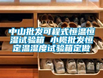 知識百科中山批發可程式恒溫恒濕試驗箱 小欖批發恒定溫濕度試驗箱定做
