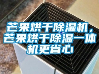 行業新聞芒果烘干除濕機，芒果烘干除濕一體機更省心