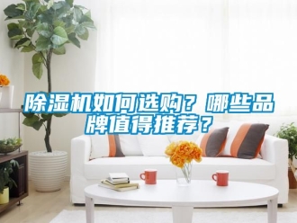 企業新聞除濕機如何選購？哪些品牌值得推薦？