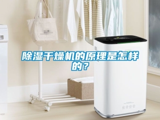 企業新聞除濕干燥機的原理是怎樣的？