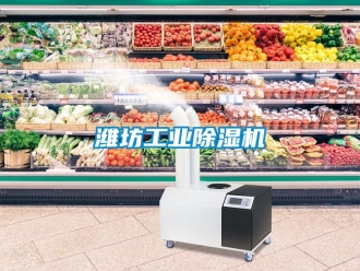 常見問題濰坊工業除濕機