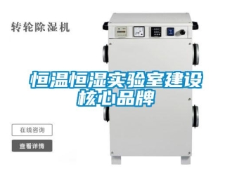知識百科恒溫恒濕實驗室建設核心品牌