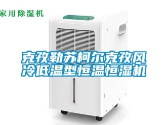知識百科克孜勒蘇柯爾克孜風冷低溫型恒溫恒濕機