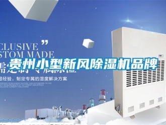 常見問題貴州小型新風除濕機品牌