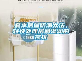 常見問題夏季房屋防潮大法，輕快處理房間濕潤的攪擾