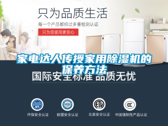 常見問題家電達人傳授家用除濕機的保養方法