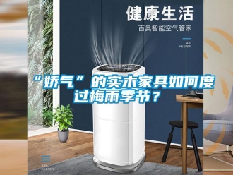 常見問題“嬌氣”的實木家具如何度過梅雨季節？