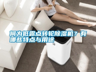 行業新聞何為低露點轉輪除濕機？有哪些特點與用途