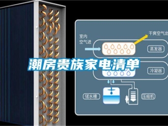 企業新聞潮房貴族家電清單