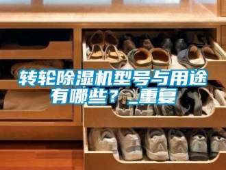 常見問題轉輪除濕機型號與用途有哪些？_重復