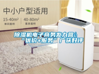 企業新聞除濕機電子商務發力營銷“優價+服務”廣獲好評