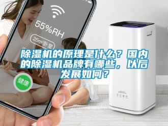 企業新聞除濕機的原理是什么？國內的除濕機品牌有哪些，以后發展如何？