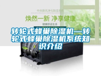 常見問題轉輪式蜂巢除濕機—轉輪式蜂巢除濕機系統知識介紹