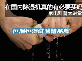知識百科恒溫恒濕試驗箱品牌