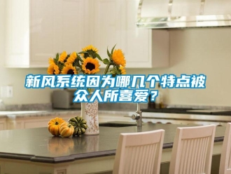 知識百科新風系統因為哪幾個特點被眾人所喜愛？
