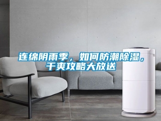 常見問題連綿陰雨季，如何防潮除濕，干爽攻略大放送