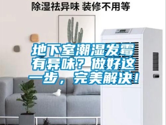 企業新聞地下室潮濕發霉有異味？做好這一步，完美解決！