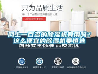 行業新聞網上一百多的除濕機有用嗎？這么便宜的除濕機要慎選