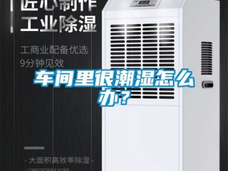 企業新聞車間里很潮濕怎么辦？