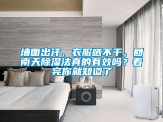常見問題墻面出汗，衣服曬不干，回南天除濕法真的有效嗎？看完你就知道了