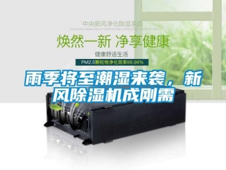 知識百科雨季將至潮濕來襲，新風除濕機成剛需